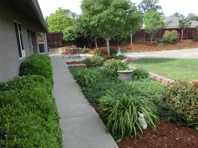 kinene backyard 7