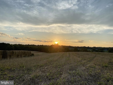 19101 Darnestown Rd, Poolesville, MD - photo 4