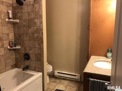 1233 Scott St, Davenport, IA 52803 - photo 5