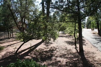 306 E Pinon Cir, Payson, AZ 85541 - photo 2