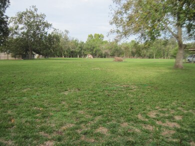 217 High St, Brazoria, TX 77422 - photo 2