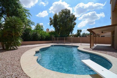 Pool-Backyard
