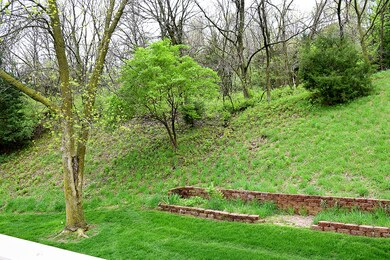 Wooded view