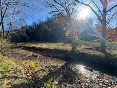 310 Tanner Fork, Shock, WV 26638 - photo 6