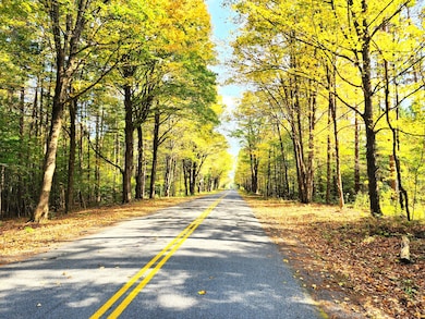 13347 Henry Rd, Natural Bridge, NY 13665 - photo 2