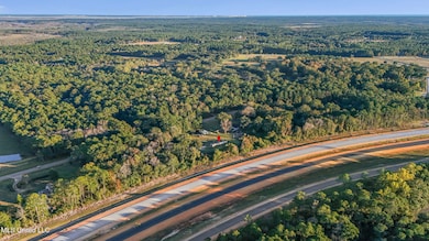 10305 Highway 57, Vancleave, MS 39565 - photo 6