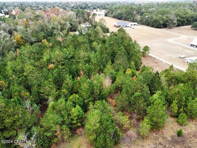 xxx Freeman Rd, Bristol, FL 32321 - photo 2