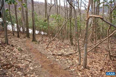 775 Pedlars Edge Dr, Roseland, VA 22967 - photo 6