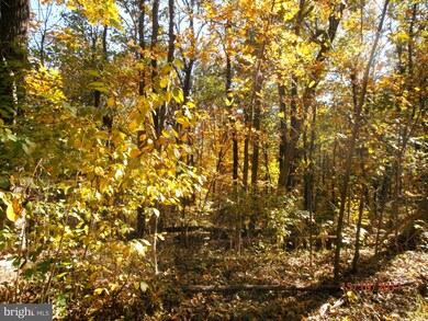 18 Axton Ln, Linden, VA 22642 - photo 2