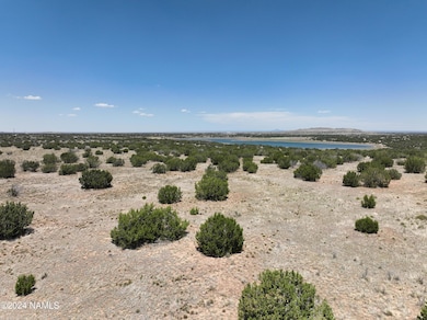 DJI_20240615122700_0043_V