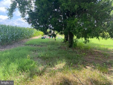 22365 Bunting Rd, Georgetown, DE 19947 - photo 5