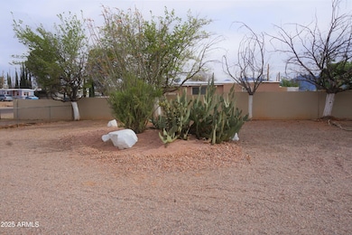 frontyard
