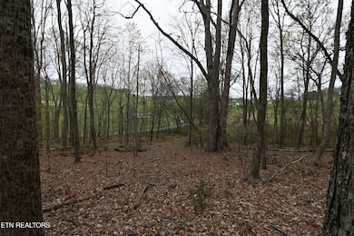 58.5 Acres Greenlee Rd, Rutledge, TN 37861 - photo 5
