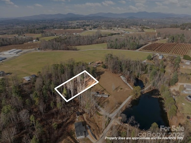 99999 Twin Lakes Dr, Dana, NC 28731 - photo 3