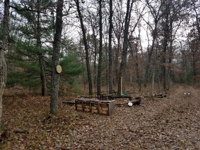 VL Par 11 W 8th St, Baldwin, MI 49304 - photo 3