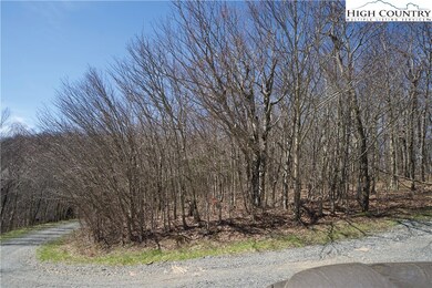 Firetower Road View of Corner Lot