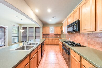 24047 Waterhole Ln, San Antonio, TX 78261 - photo 5