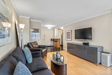 Lakeside Towers unit 5P, Bayside, NY 11361 - photo 3