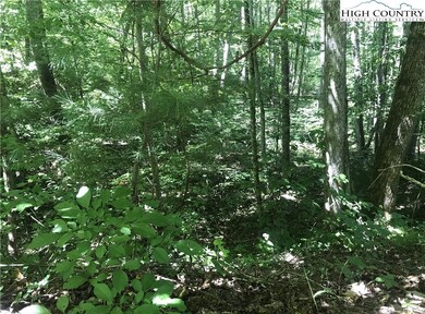 TBD Lot 28 Sonterra Dr, Lansing, NC 28643 - photo 7