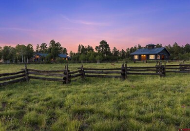 3289 Laughing Dog Rd, Placerville, CO 81430 - photo 7