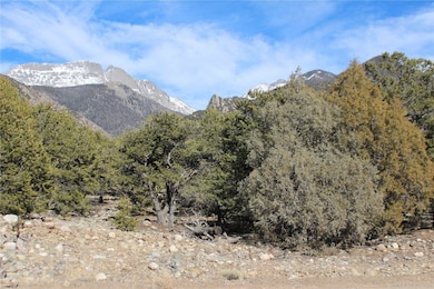 4333 Camino Baca Grande, Crestone, CO 81131 - photo 4