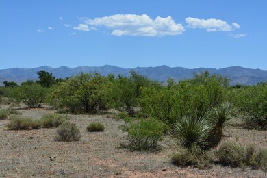 South side of Creek