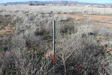 Tbd W Duane Ln, Paulden, AZ 86334 - photo 7