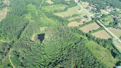 0 U S 231 unit 21390285, Oneonta, AL 35121 - photo 3