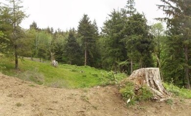 0 Whiskey Creek Rd unit 10-960, Netarts, OR 97141 - photo 4