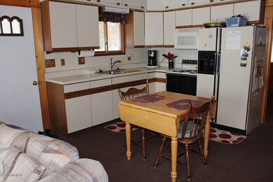 2391 W Lake Shore Dr, Bitely, MI 49309 - photo 5