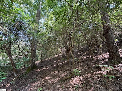 00 Whitewater Lake Rd, Tamassee, SC 29686 - photo 5