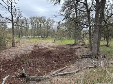 141 N Eskew Ln, Wyldwood, TX 78612 - photo 4