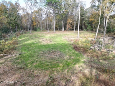 4 Old Hamburg Roxie Rd NW, Roxie, MS 39661 - photo 5