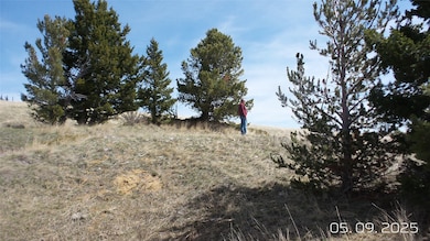 TBD Tbd Hidden Treasurer, White Sulphur Springs, MT 59645 - photo 7