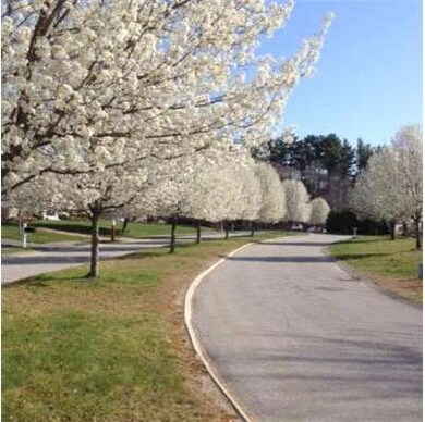 22 Penny Ln, North Easton, MA 02356 - photo 3