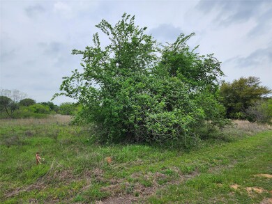 12084 Rolling Oaks Dr, Whitney, TX 76692 - photo 4