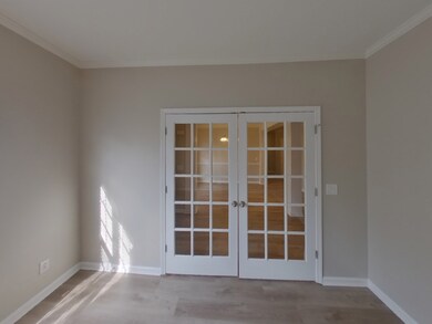 746 Sergio Ave, Murfreesboro, TN 37128 - photo 3