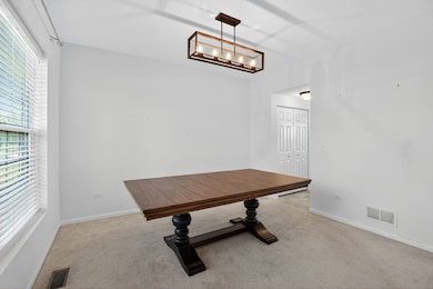 232 Julep Ave, Oswego, IL 60543 - photo 6