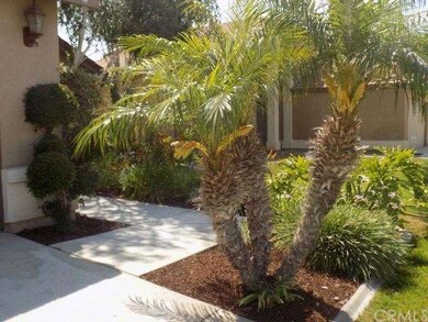 Beautiful minituare palms as you walk into entry o
