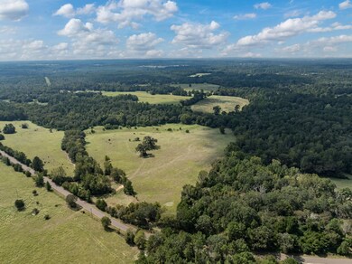 0 Anderson County Road 153 unit Tract 1A, Palestine, TX 75801 - photo 3