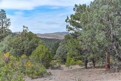 0 County Road 7a, Ridgway, CO 81432 - photo 2