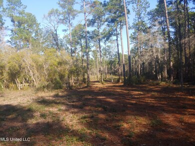 Nhn Crazy Horse Dr, Kiln, MS 39556 - photo 7