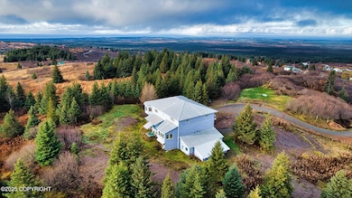Mansion on Knob Hill