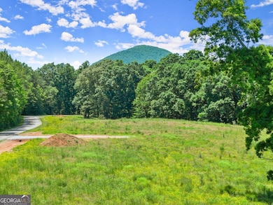 0 Arthur Allen Rd unit 10646088, Cleveland, GA 30528 - photo 5