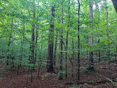 BigRidge_40-02