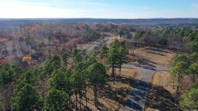 Lot 1 Old Military Rd, Conway, AR 72034 - photo 4