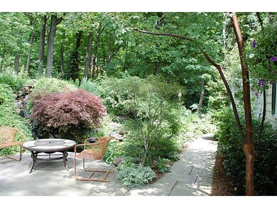 Yard/Garden.