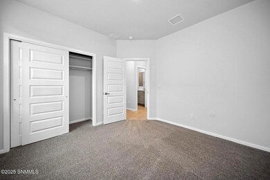 142 Pinos Altos, Santa Teresa, NM 88008 - photo 7