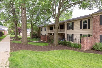 Beautiful landscaping