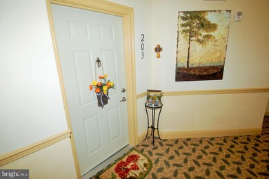 8609 Wintergreen Ct unit 203, Odenton, MD 21113 - photo 2